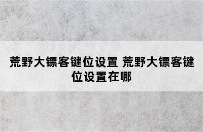 荒野大镖客键位设置 荒野大镖客键位设置在哪